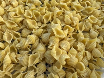 Fresh Conchiglie Pasta